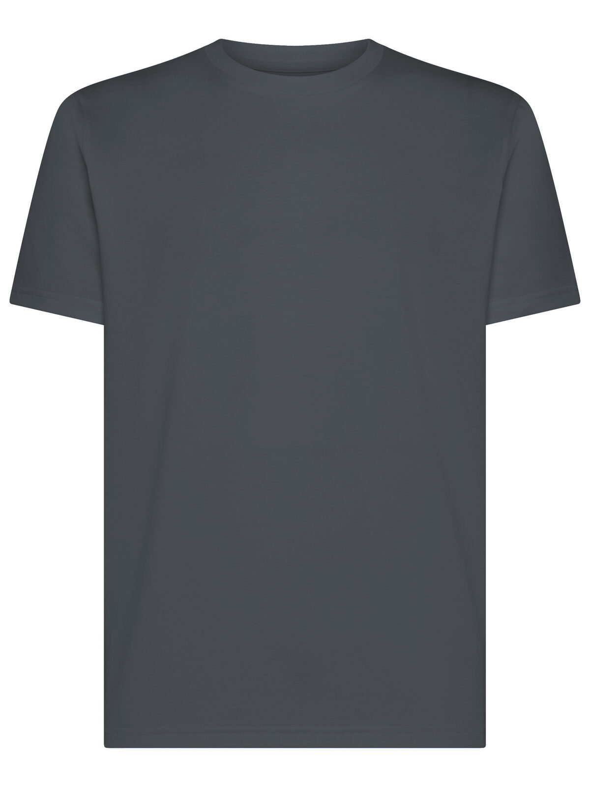 Camiseta Paradise Fit - DG - Gris oscuro