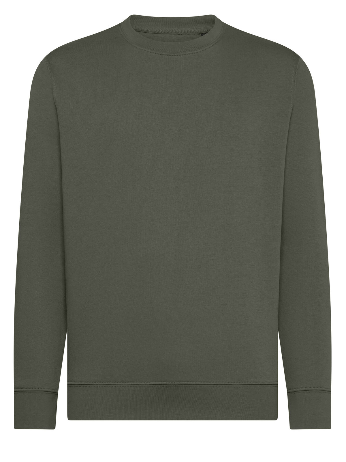 Jengibre - EG - VERDE TERROSO