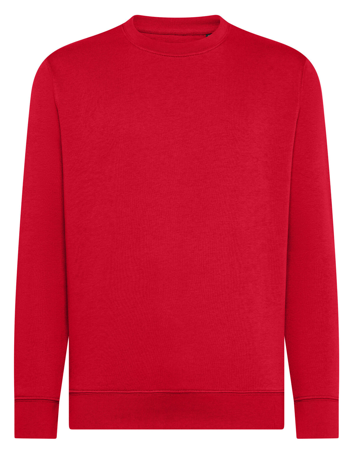 Jengibre - RD - Rojo