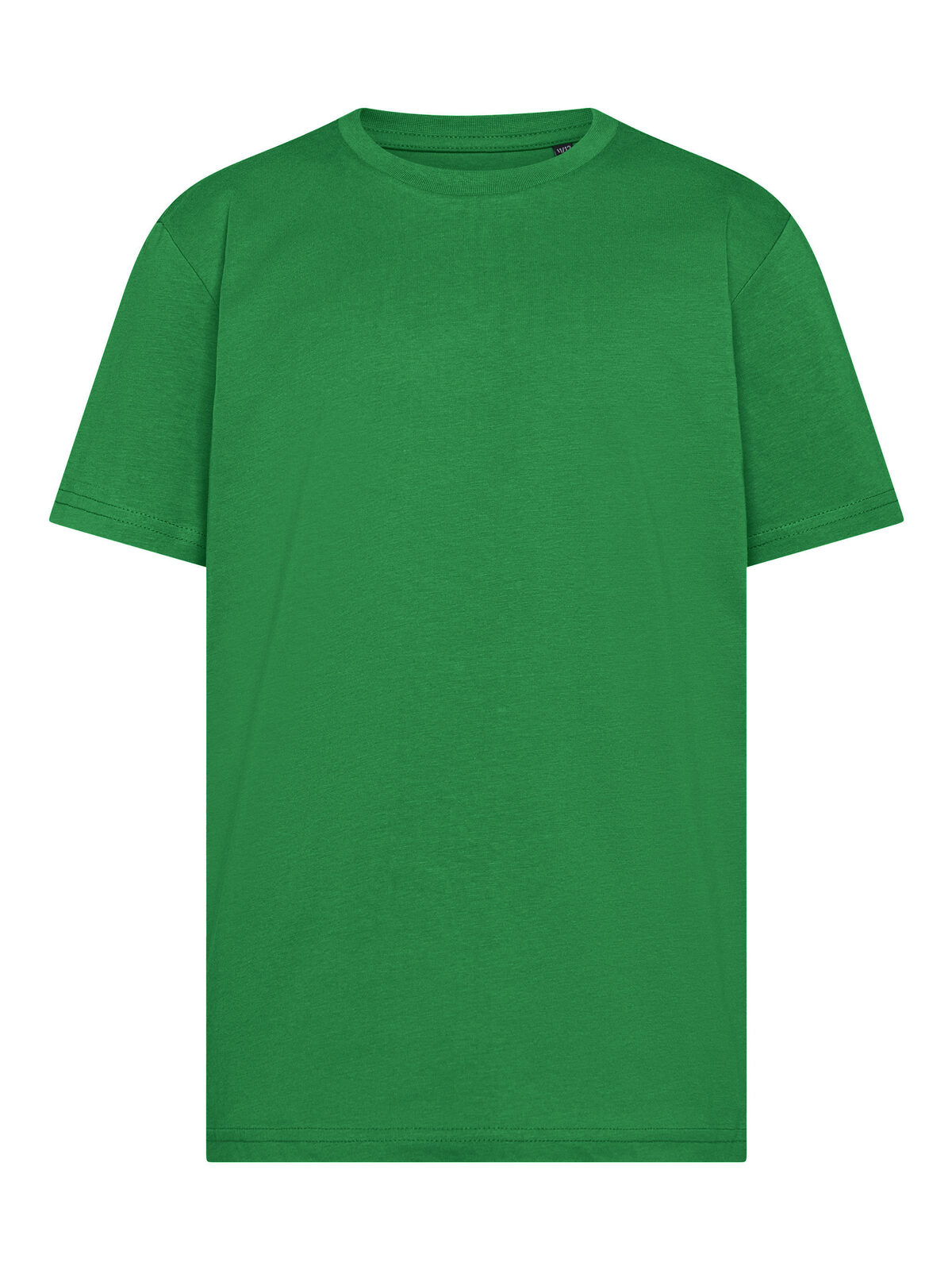 Camiseta infantil Moon Organic - KG - Verde Kelly