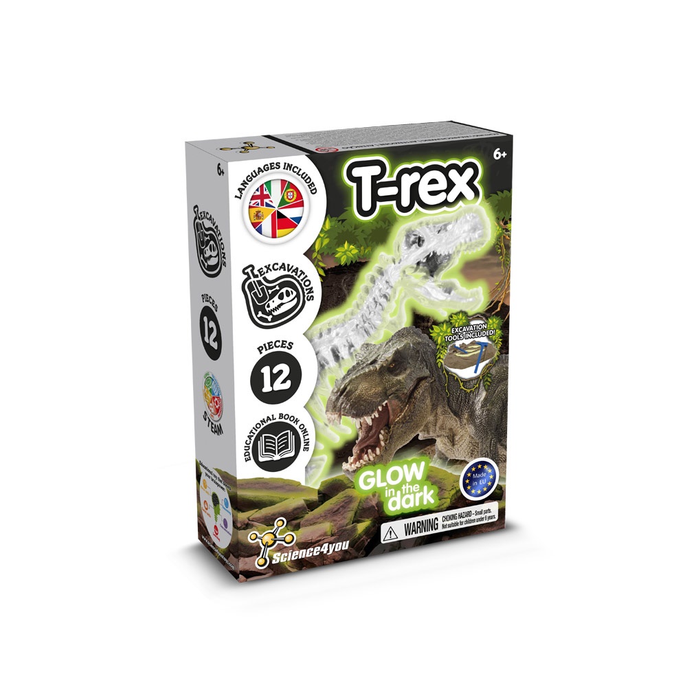 Kit de excavación de fósiles I. Juego educativo para niños.